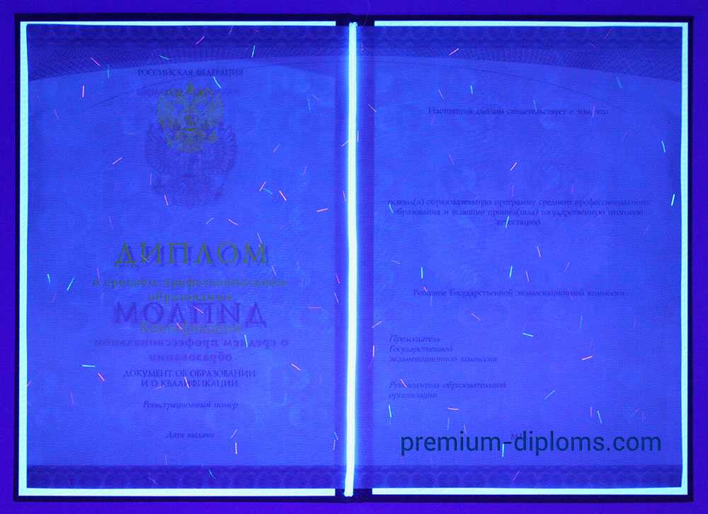 Диплом техникума - колледжа 2014-2025 год фото